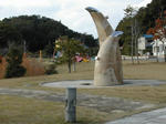 DSCN2244-1.jpg