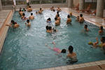 IMG_0559-1.jpg