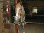DSCN2338-1.jpg
