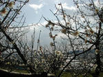 DSCN2383-1.jpg