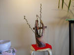 DSCN2403-1.jpg