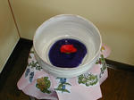 DSCN2404-1.jpg
