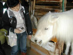 DSCN2442-1.jpg