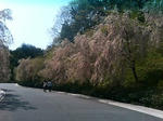 P1000072.JPG
