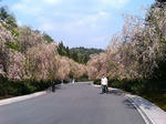 P1000064.JPG