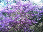 P1000062.JPG