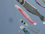 DSCN2535-1.jpg