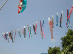 DSCN2550-1.jpg