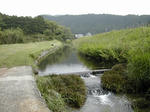 DSCN2591-1.jpg