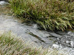 DSCN2593-1.jpg