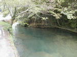DSCN2595-1.jpg
