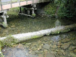 DSCN2596-1.jpg
