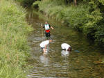 DSCN2597-1.jpg