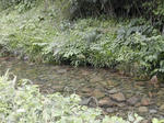 DSCN2598-1.jpg