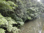 DSCN2601-1.jpg