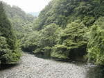 DSCN2679-1.jpg