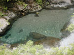 DSCN2673-1.jpg