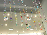 DSCN2914-1.jpg