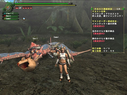 クック先生