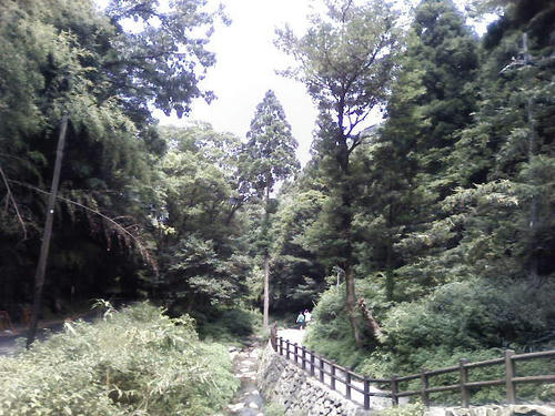 f40d70a2jpeg