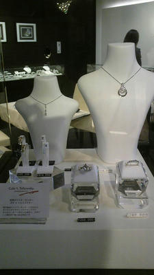 DVC00350.jpg