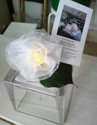 2010042712260001.jpg