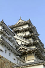 _MG_3696.JPG