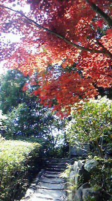 201005091143000.jpg