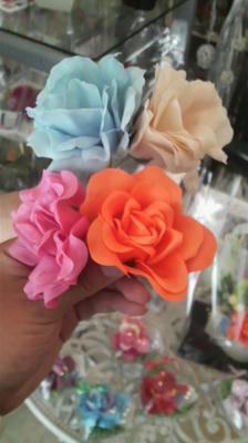 2010070813010000.jpg