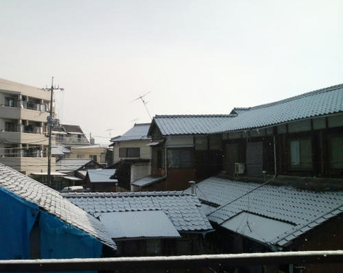 CA3D0365.jpg