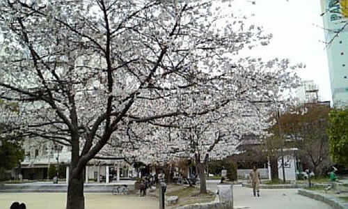 110407_165606.jpg