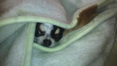 2011040710450000.jpg