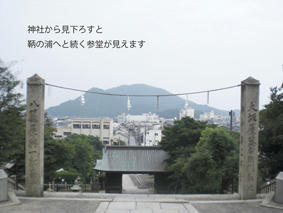 CIMG3084.jpg