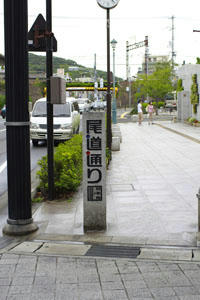 _MG_8144.jpg