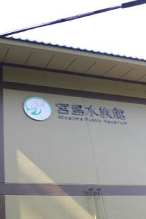 cd116bec.jpg