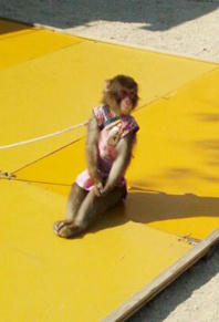 20120927_153822.jpg