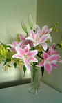 081122-6.jpg