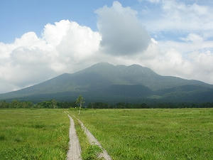 DSC01414.jpg