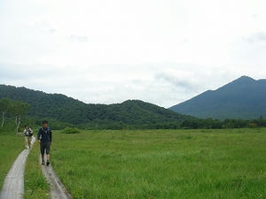 DSC01442.jpg