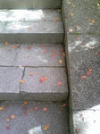101116_110054.jpg