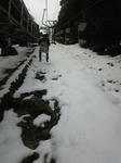 110109_120746.jpg