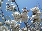 110406_110318.jpg