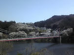 110410_132348.jpg