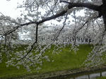 120410_105906.jpg