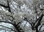 120410_110932.jpg