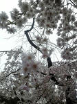 120416_120502.jpg