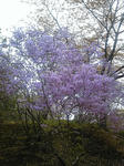 120416_120834.jpg