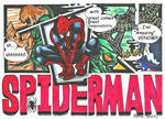 spider_a.jpg