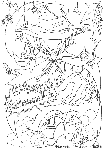 2006h.gif