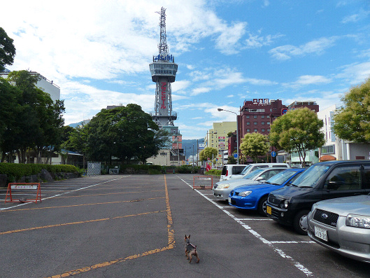 resize131309.jpg
